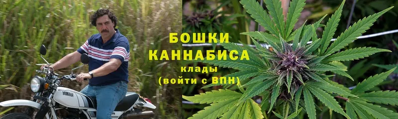 купить наркоту  Энем  Канабис SATIVA & INDICA 